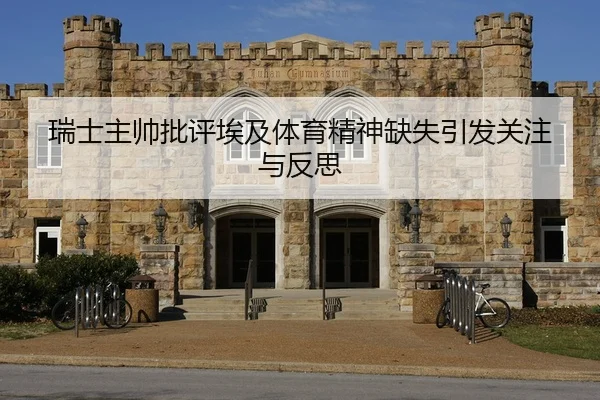 瑞士主帅批评埃及体育精神缺失引发关注与反思
